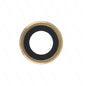 REPLACEMENT FOR IPAD PRO 9.7" REAR CAMERA HOLDER WITH LENS - GOLD