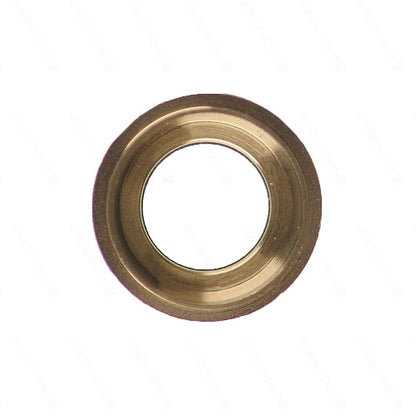 REPLACEMENT FOR IPAD PRO 9.7" REAR CAMERA HOLDER WITH LENS - GOLD